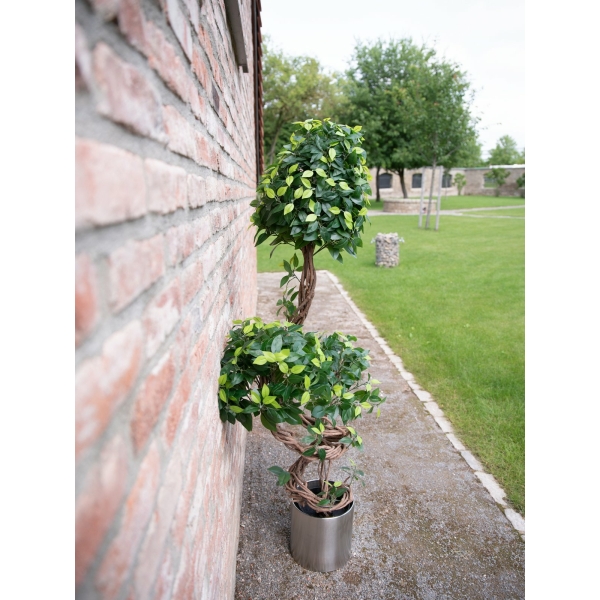 EUROPALMS Ficus spiral trunk, artificial plant, 160cm - keinotekoinen