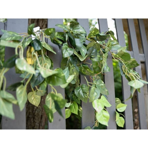 EUROPALMS Pothos bush tendril classic, artificial, 60cm - keinotekoinen