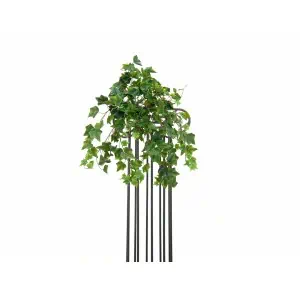EUROPALMS Ivy bush tendril premium