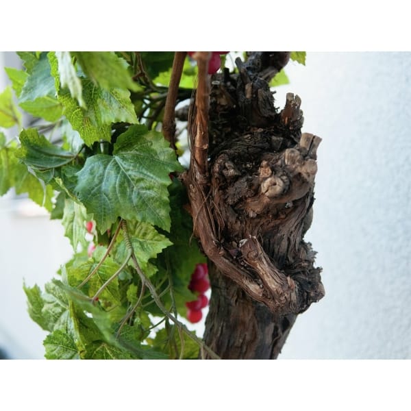EUROPALMS Grape bush, premium, artificial, 170cm - keinotekoinen