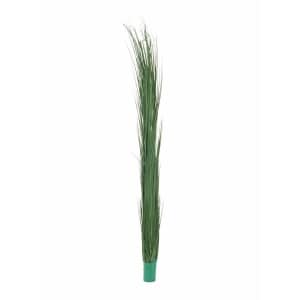 EUROPALMS Reed grass