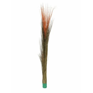 EUROPALMS Reed grass