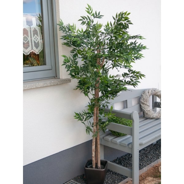 EUROPALMS Ficus longifolia, artificial plant, 165cm - keinotekoinen