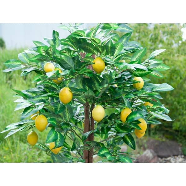 EUROPALMS Lemon Tree, artificial plant, 180cm - keinotekoinen