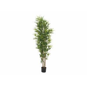 EUROPALMS Bamboo deluxe