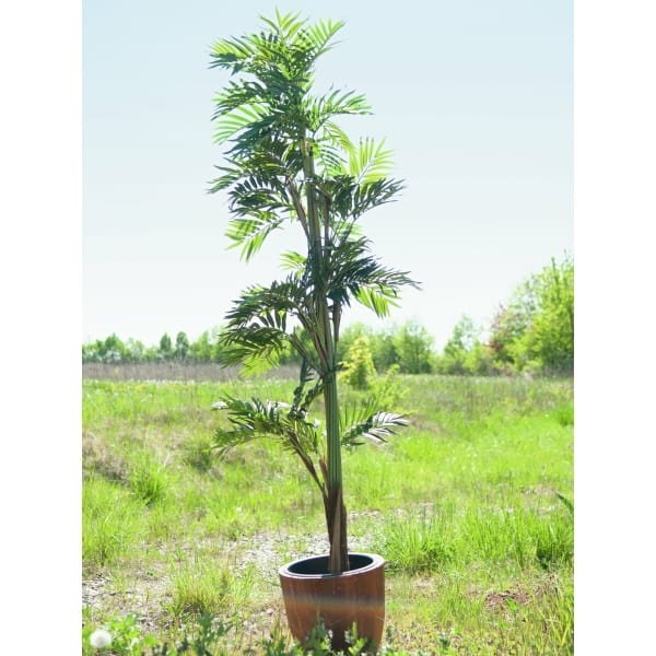EUROPALMS Parlor palm, artificial plant, 150cm - keinotekoinen