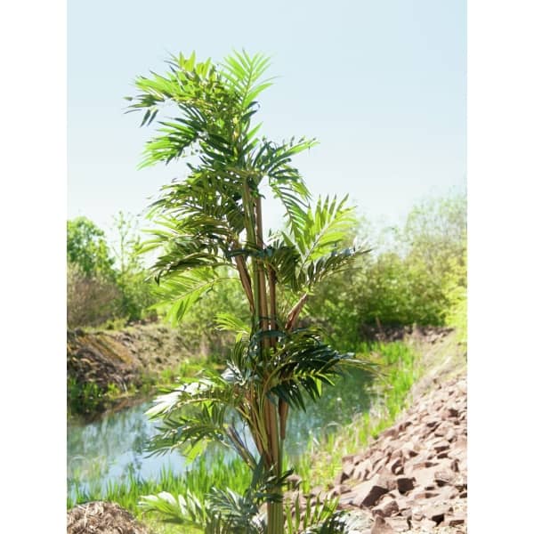 EUROPALMS Parlor palm, artificial plant, 150cm - keinotekoinen