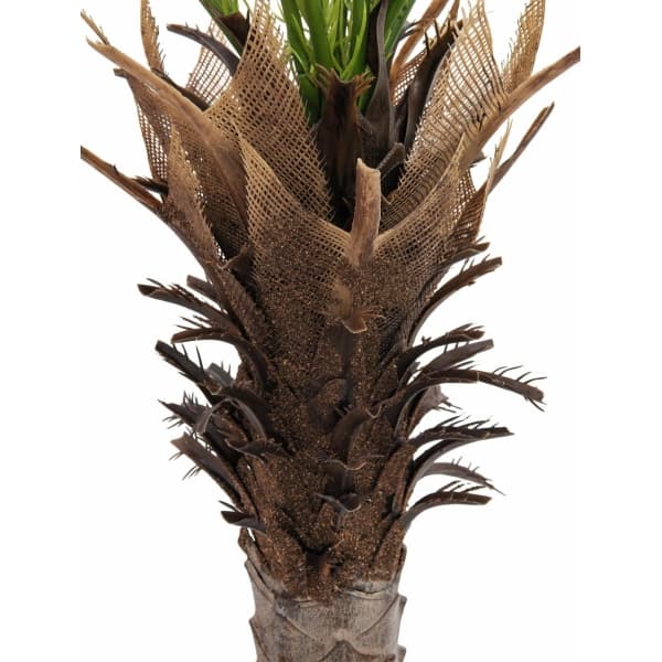 EUROPALMS Phoenix palm deluxe, artificial plant, 220cm - keinotekoinen