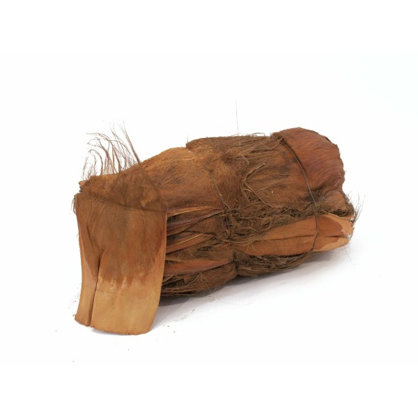 EUROPALMS Coconut-bark