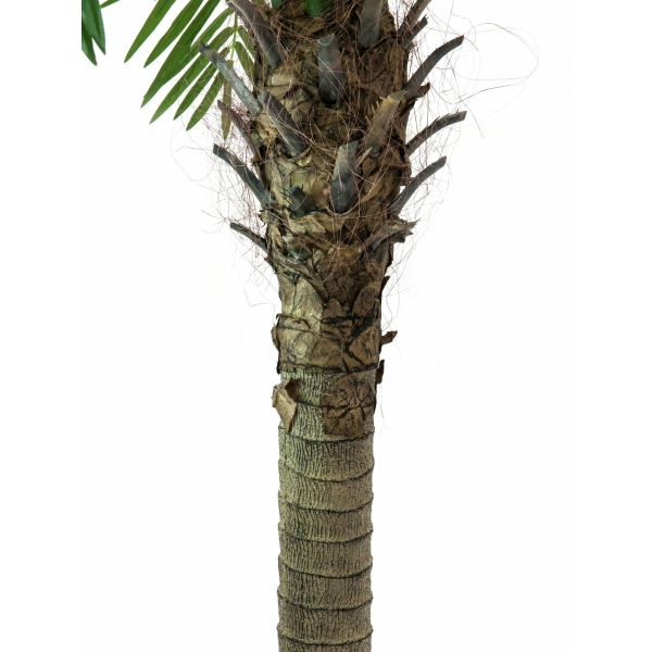 EUROPALMS Phoenix palm tree luxor, artificial plant, 210cm - keinotekoinen