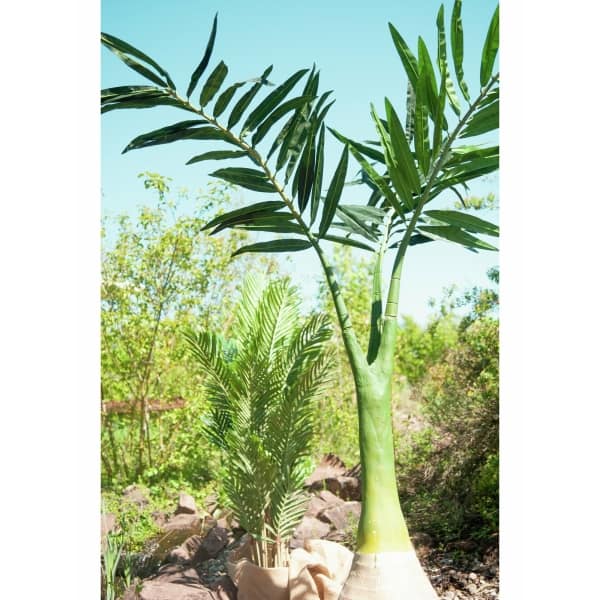EUROPALMS Phoenix palm, artificial plant, 240cm - keinotekoinen