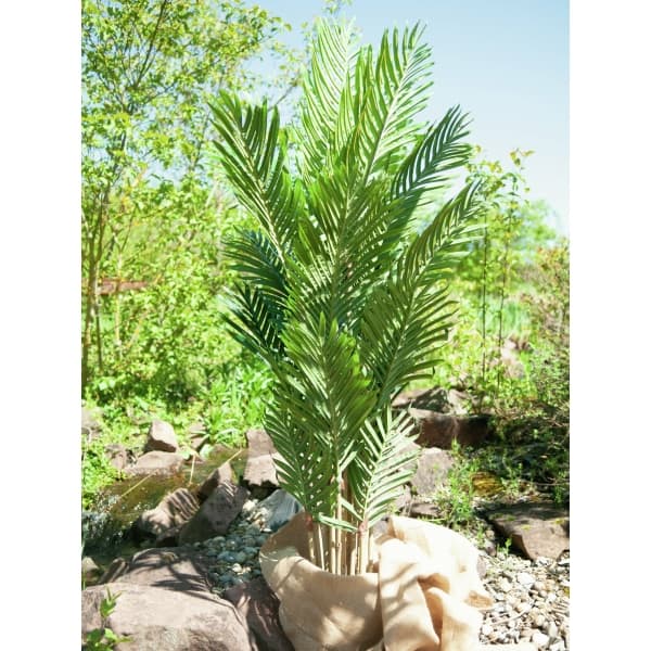 EUROPALMS Kentia palm tree, artificial plant, 140cm - keinotekoinen