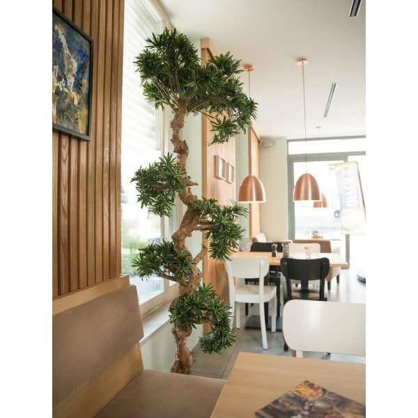 EUROPALMS Bonsai tree, artificial plant, 180cm - keinotekoinen