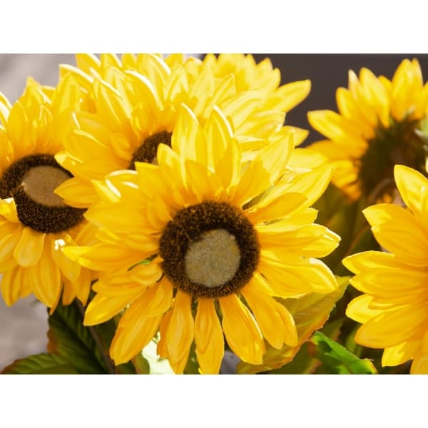 EUROPALMS Sunflower, artificial plant, 70cm - keinotekoinen