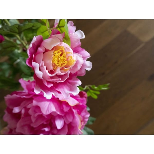 EUROPALMS Peonies, rose, artificial plant, 90cm - keinotekoinen
