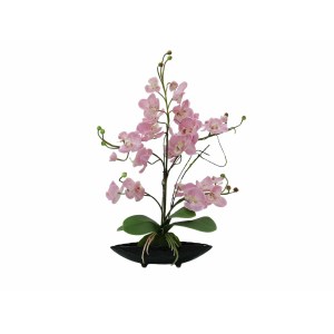 EUROPALMS Orchid arrangement (EVA)