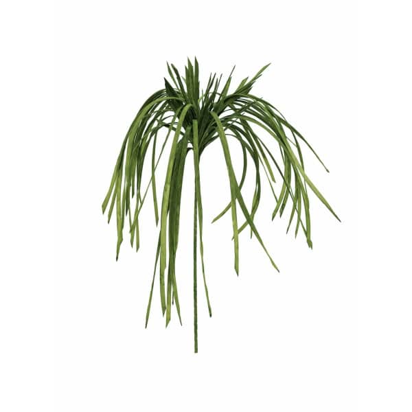 EUROPALMS Sea grass (EVA)