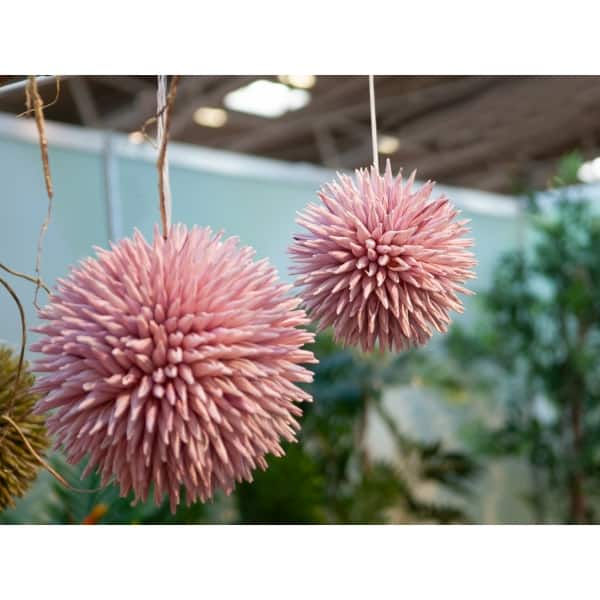 EUROPALMS Succulent Ball (EVA),artificial plant, pink, 20cm - keinotekoinen