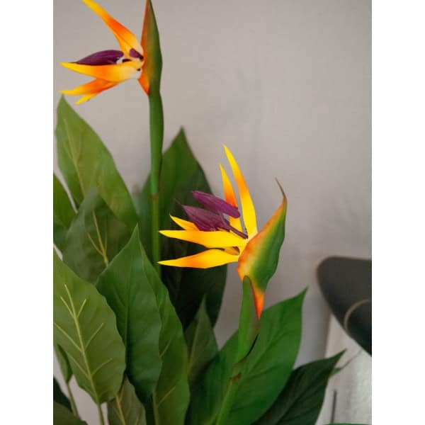 EUROPALMS Bird-of-paradise flower, artificial plant, 90cm - keinotekoinen