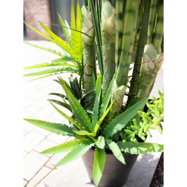 EUROPALMS Succulent-Mix, artificial plant, 190cm - keinotekoinen