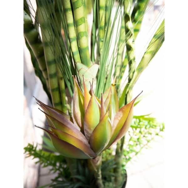 EUROPALMS Succulent-Mix, artificial plant, 190cm - keinotekoinen