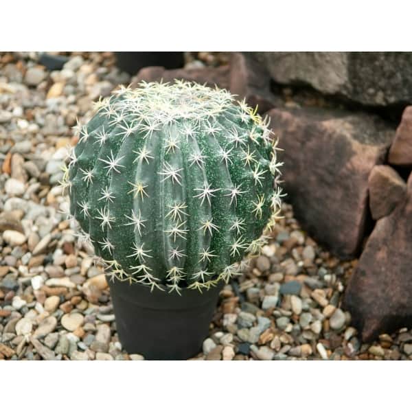 EUROPALMS Barrel Cactus, artificial plant, 34cm - keinotekoinen