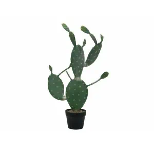 EUROPALMS Nopal cactus