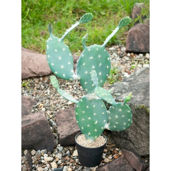 EUROPALMS Nopal cactus, artificial plant, 76cm - keinotekoinen