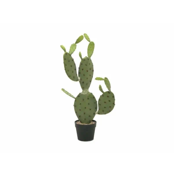 EUROPALMS Nopal cactus