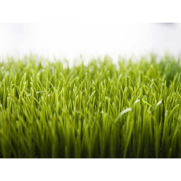 EUROPALMS Artificial grass tile, sun, 25x25cm - keinotekoinen