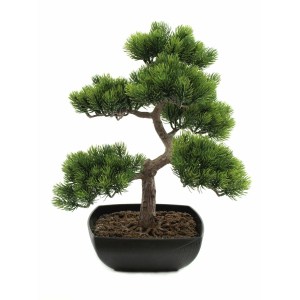 EUROPALMS Pine bonsai
