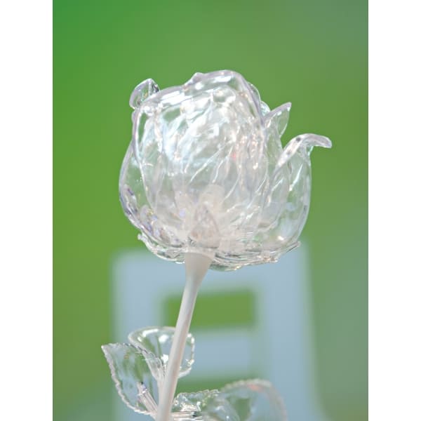 EUROPALMS Crystal rose, clear, artificial flower, 81cm 12x - keinotekoinen