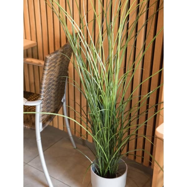 EUROPALMS Reed (grass), artificial, 145cm - keinotekoinen