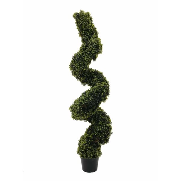 EUROPALMS Boxwood Spiral