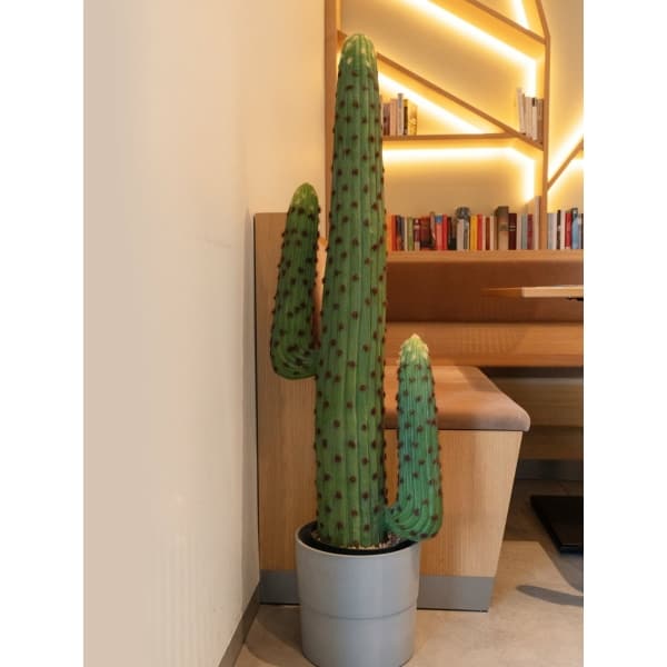 EUROPALMS Mexican cactus, artificial plant, green, 117cm - keinotekoinen
