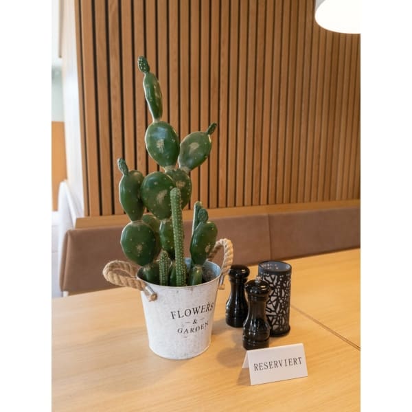 EUROPALMS Mixed cactuses, artificial plant, green, 54cm - keinotekoinen