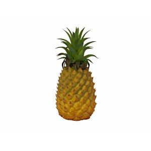 EUROPALMS Pineapple