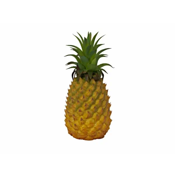 EUROPALMS Pineapple