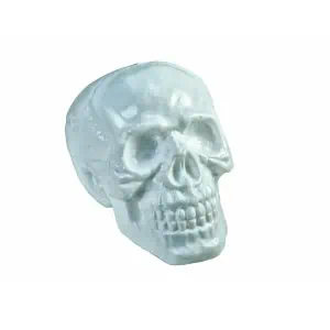 EUROPALMS Halloween Skull