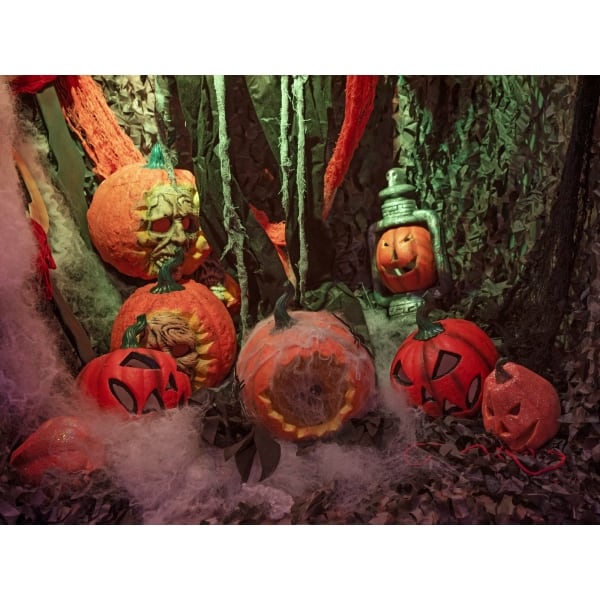 EUROPALMS Halloween Pumpkin in Spider Web, 25cm