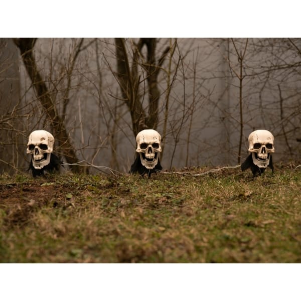 EUROPALMS Halloween Skeleton Head with Stake, Set of 3, 29cm
