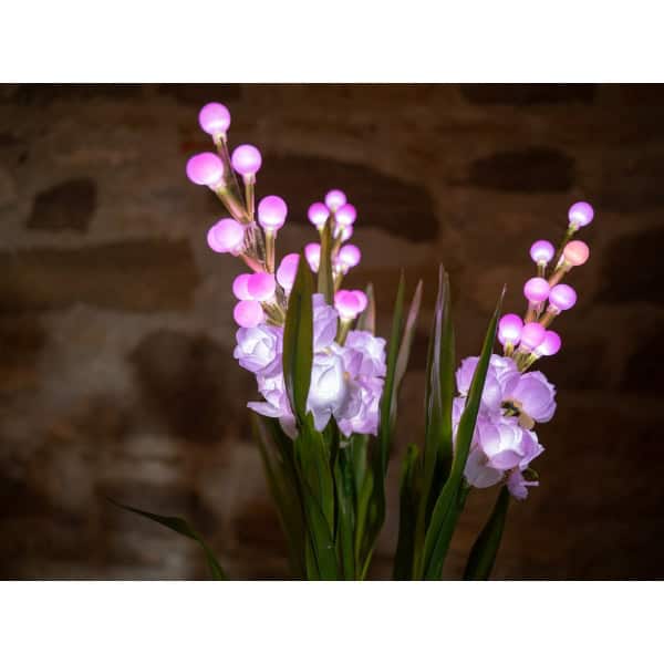 EUROPALMS Arum set, 3 branches with LEDs, pink 85cm