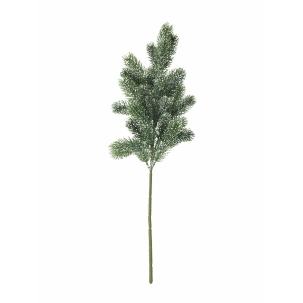 EUROPALMS Fir branch