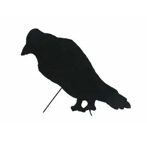 EUROPALMS Silhouette Crow